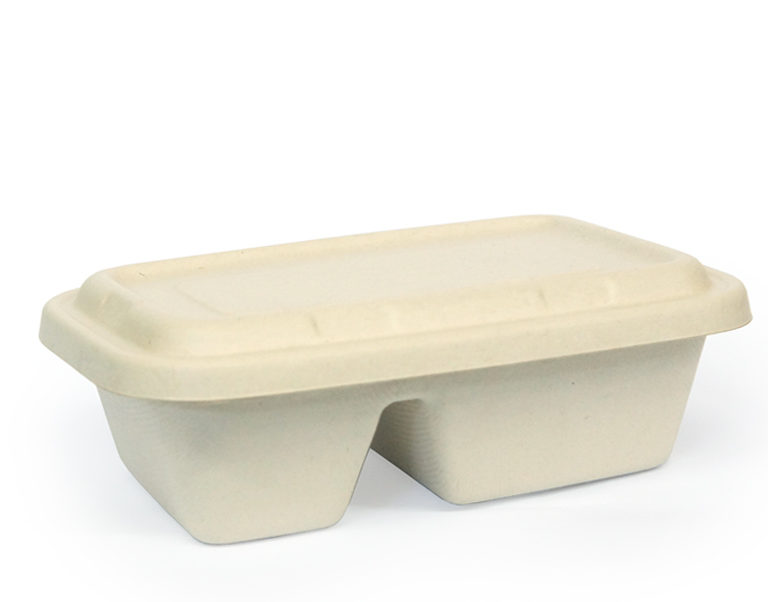 1000ml 2-Compartment Sugarcane Bagasse Rectangle