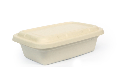 1000ml Sugarcane Bagasse Rectangle