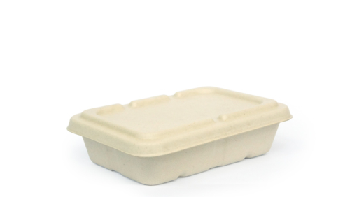 500ml sugarcane bagasse