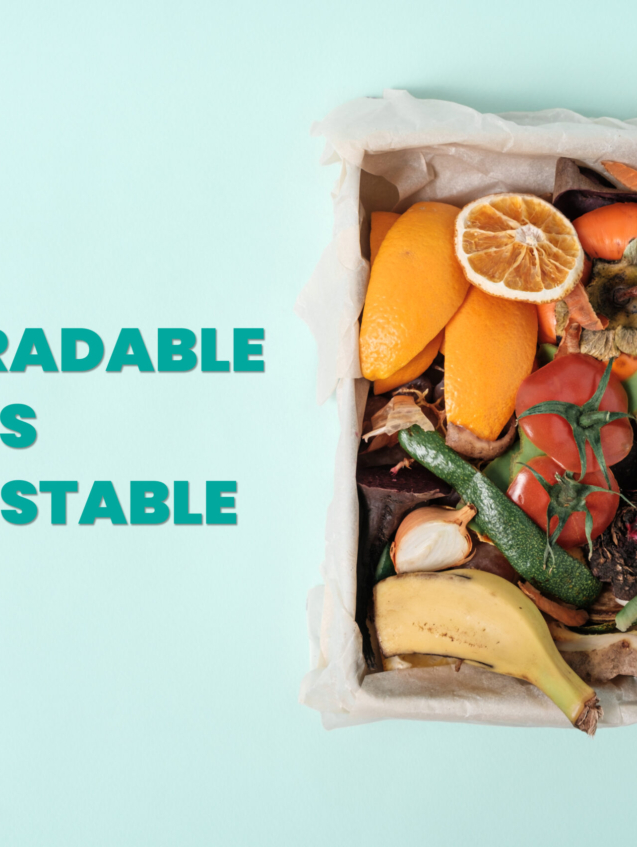 top view food leftovers in compost bin on blue background, compost, vegetable peels concept. Copy space, zero waste